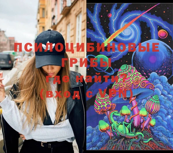 метадон Няндома