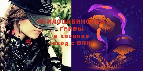метадон Няндома